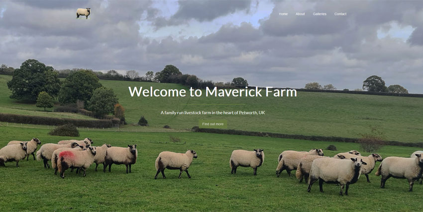 Screenshot of Maverick Farm website homepage