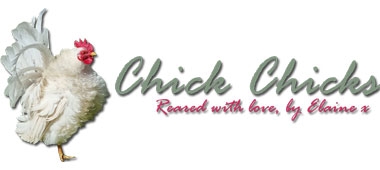 Chick Chicks logo