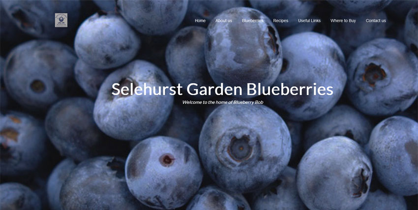 Screenshot of Blueberry Bob homepage