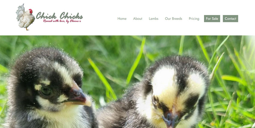 Screenshot of the Chick Chicks website homepage