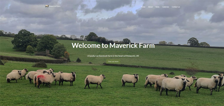Screenshot of Maverick Farm website homepage