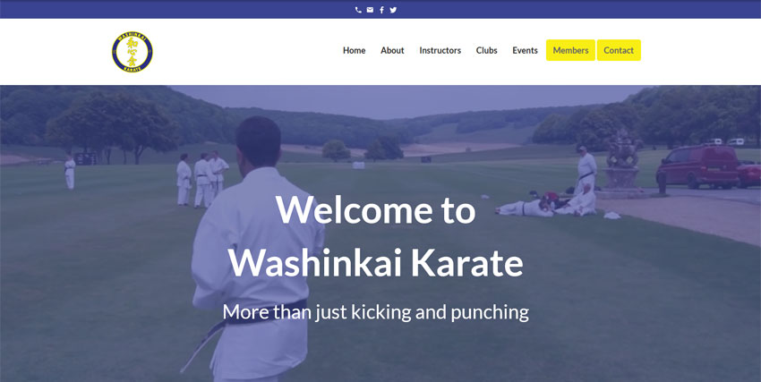 Screenshot of the Washinkai website homepage