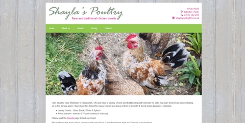 Screenshot of the Shayla's Poultry website homepage