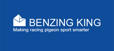 Benzing King logo